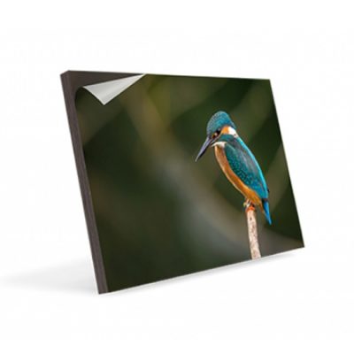 Peelstick-WoodPanel2